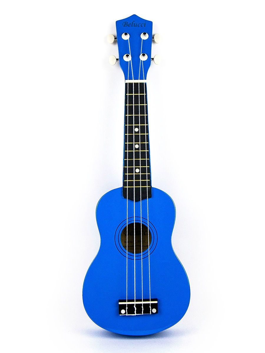 Детальная картинка товара Belucci XU21-11 Blue в магазине Музыкальный Мир