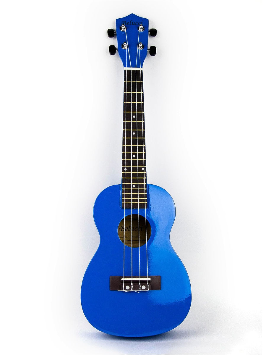Детальная картинка товара Belucci XU23-11 Blue в магазине Музыкальный Мир